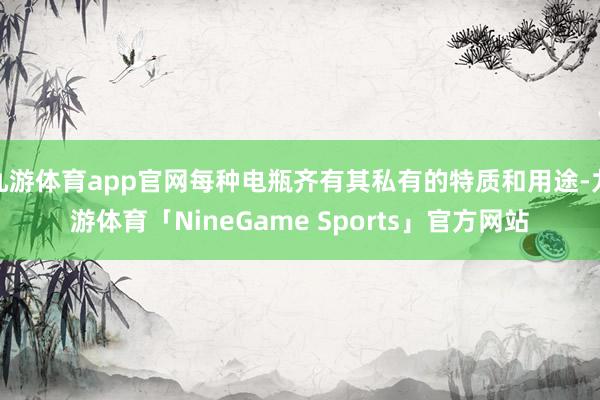 九游体育app官网每种电瓶齐有其私有的特质和用途-九游体育「NineGame Sports」官方网站