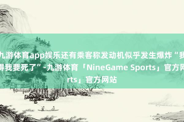 九游体育app娱乐还有乘客称发动机似乎发生爆炸“我觉得我要死了”-九游体育「NineGame Sports」官方网站